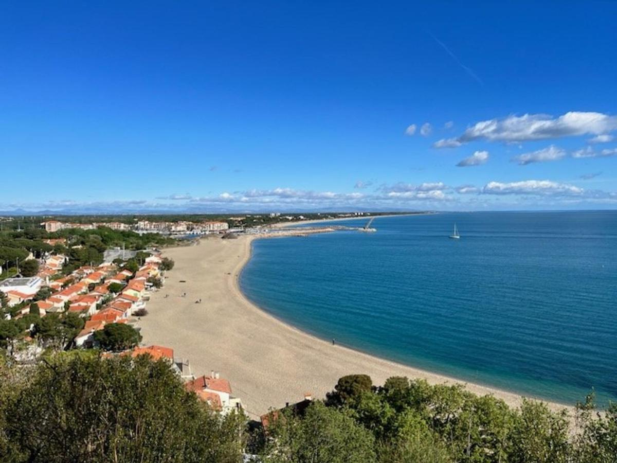 Studio Cabine Avec Terrasse 4 Pers, Acces Direct Plage, Tv, Animaux Admis - Argeles-Sur-Mer - Fr-1-225-798 Dış mekan fotoğraf
